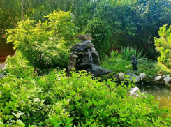 Солнечным и жарким будет последний день июля 