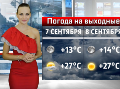 На выходных в Волгодонске обещают солнце и сильный ветер