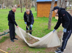Может быть привлечено больше тысячи горожан: месячник чистоты пройдет в Волгодонске 
