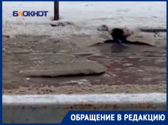 «Канализация течет прямо на дорогу и вонь стоит»: житель Волгодонска вынужден «переплывать» дорогу к детскому саду