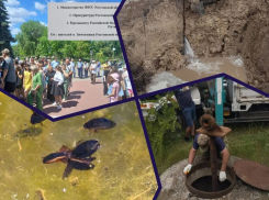 Водный коллапс в Зимовниковском районе и охота жуков-плавунцов: главные новости недели