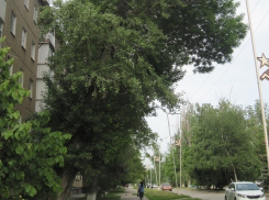В Волгодонске не нашлось желающих капитально отремонтировать улицу 50 лет СССР