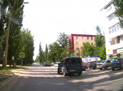 «Приветствую появление «лежачих полицейских» перед пешеходными переходами» – депутат волгодонской Думы