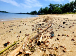 Детей мобилизованных волгодонцев отправят в летние лагеря на территории Ростовской области