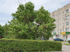 Сильнейшие порывы ветра сохранятся в Волгодонске 22 августа