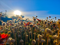 Среда будет жарить перед похолоданием 