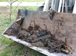 Волгодонцы по-прежнему чаще всего засоряют бытовую канализацию предметами личной гигиены