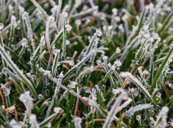 До -4: на Дону ожидаются первые заморозки, возможно затронет и Волгодонск