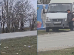 Загадивший лесополосу в Цимлянске водитель «Газели» сделал явку с повинной и своими руками убрал весь мусор