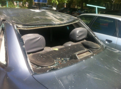 В Волгодонске на автомобиль упало дерево – ВИДЕО прислал хозяин пострадавшей машины