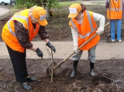В Волгодонске детские садики ищут воспитателей, уборщиков и одного садовника