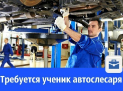 На СТО требуется ученик автослесаря по ремонту ходовой