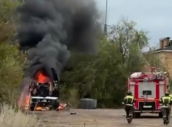 Жгут леса и автомобили: в Волгодонске может действовать группа дерзких подростков-пироманов