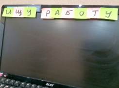 В Волгодонске второй месяц подряд зафиксировали снижение уровня безработицы