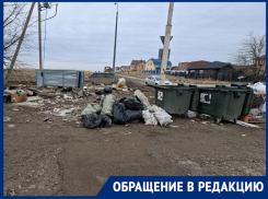 Площадь мусорного очага на проспекте Лазоревый уже составила 1 гектар