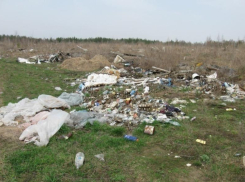 В Большой Мартыновке плодородное поле превратили в свалку 