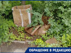 «И это центр города»: волгодонец показал замусоренную аллею на проспекте Строителей