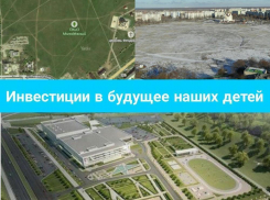 Волгодончанка в соцсетях ищет инвесторов на строительство спортивного комплекса в парке Молодежный 