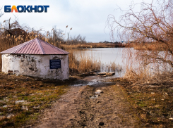 Бекреневский источник обретет вторую жизнь