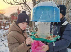 Воспитанники детского Центра «Радуга» спасают птиц Волгодонска от голодной зимы