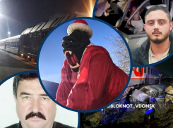 Обезьяна в костюме Деда Мороза, ДТП с поездом и обвинения волгодонца в смерти двух подростков: главные новости Волгодонска за неделю