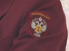 В Волгодонске мошенники представляются сотрудниками Роспотребнадзора