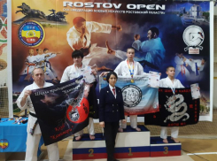 Россыпь наград завоевали волгодонцы на областном турнире по всестилевому карате 