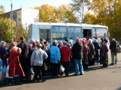 С трех дачных маршрутов Волгодонска сняли по одному автобусу