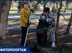 От уборки улиц до посадки деревьев: как Волгодонск встречает весну