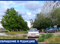 «Где хочу, там и ставлю?»: горожанка возмущена парковкой автомобилиста на пешеходной дорожке