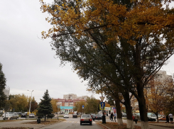 Облачно и достаточно тепло будет сегодня в Волгодонске 