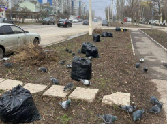 Жители МКД и коммунальщики объединились: субботник на улице Энтузиастов может стать примером для всех 