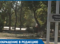 Спиливание деревьев напротив ТК «Сказка» вызвало массу вопросов у волгодонцев 