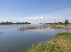 Ветер, Солнце и немного тучек: о погоде на среду
