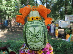 «Блокнот» публикует видеоотчет со дня рождения Волгодонска 