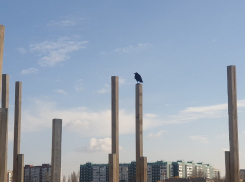 Проект Молодежного парка в Волгодонске прошел госэкспертизу