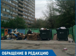 Бродячие животные растаскивают мусор по двору, - волгодонцы о свалке во дворе по проспекту Строителей