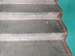 «У нас нет уборщицы»: ДСиГХ прокомментировал скандал с грязными подъездами на 50 лет СССР