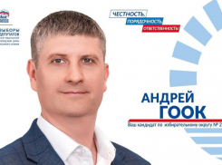 Андрей Гоок: Моя первая избирательная кампания и почему я иду в депутаты