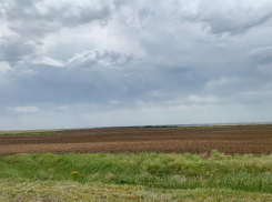Небольшой дождь ожидается в Волгодонске сегодня 