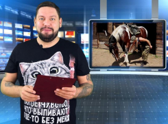 Какие масштабные проблемы удалось решить с помощью «Блокнот Волгодонска» в 2021 году 