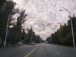ГИБДД планирует ввести новые ограничения скорости на улице Морской