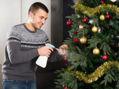 Как продлить жизнь новогодней елке: ботанический апгрейд к празднику