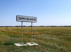 Под Зимовниками обнаружили огромный навозомогильник больше Молодежного парка в Волгодонске