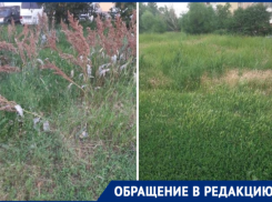 «Наш город еще никогда не был в таком ужасном состоянии»: волгодонцы призывают власти города навести порядок 