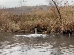 Ростовская область заберет себе трубу, сливающую в реку неочищенные фекалии жителей Цимлянска