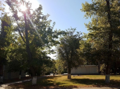 По-летнему солнечно и тепло будет в последний рабочий день недели