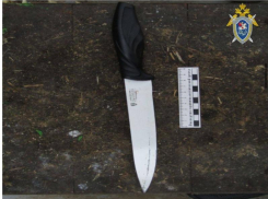 За убийство знакомой в алкогольном опьянении жительница Орловского района предстанет перед судом 