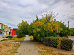 Сегодня в Волгодонске станет чуточку теплее