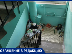 «Гора мусора, которую они не собираются убирать»: неудачная прочистка мусоропровода превратила подъезд в вонючую свалку 